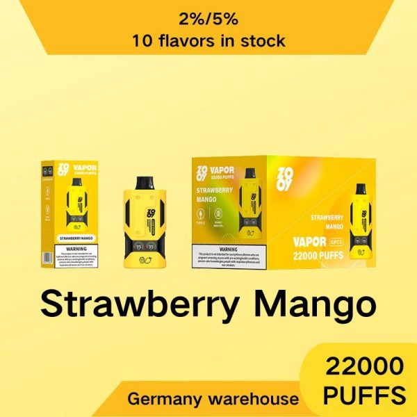 EU warehouse ZOOY VAPOR 22000 disposable double mesh coil built-in Smart Display Screen large mouth electronic cigarette - Image 10