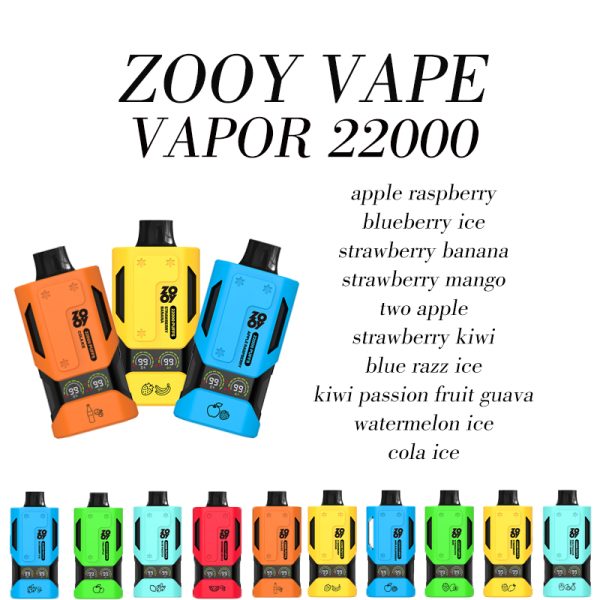 EU warehouse ZOOY VAPOR 22000 disposable double mesh coil built-in Smart Display Screen large mouth electronic cigarette