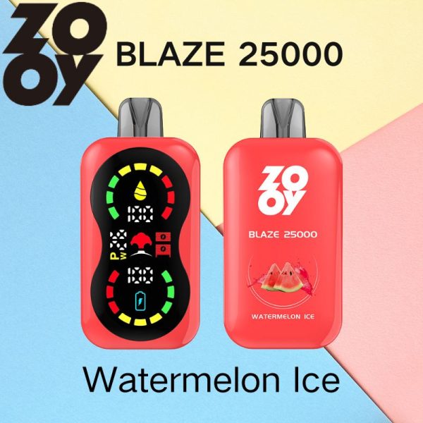 ZOOY BLAZE 25000 - Image 2