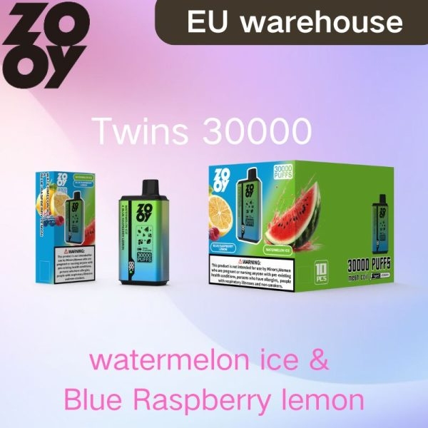 ZOOY TWINS 30000 (2)