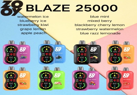 BLAZE 25000 Dual display